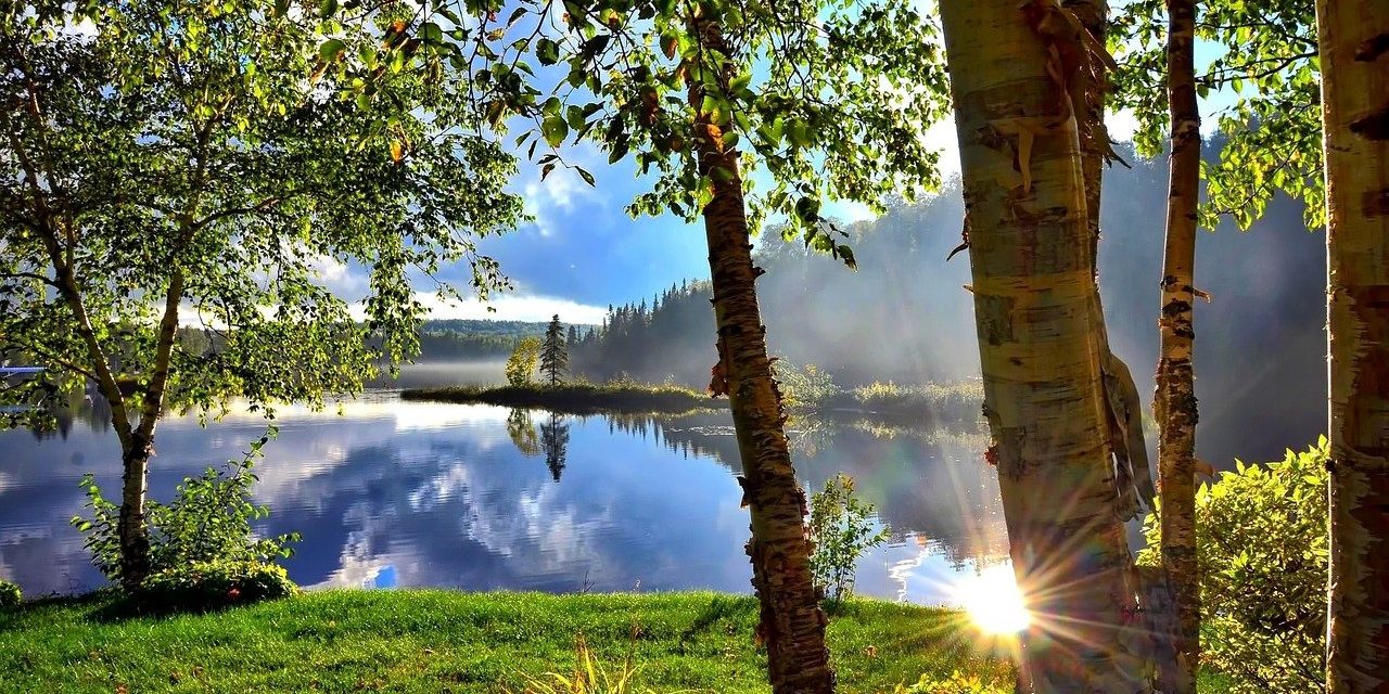 summer-landscape-1500748_1280