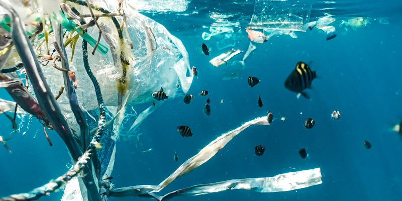 naja-bertolt-jensen-BJUoZu0mpt0-unsplash